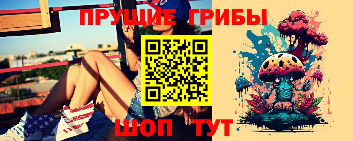 Гагарин  Псилоцибиновые грибы MAGIC MUSHROOMS  Галлюциногенные грибы Psilocybine cubensis  Вход с VPN 
